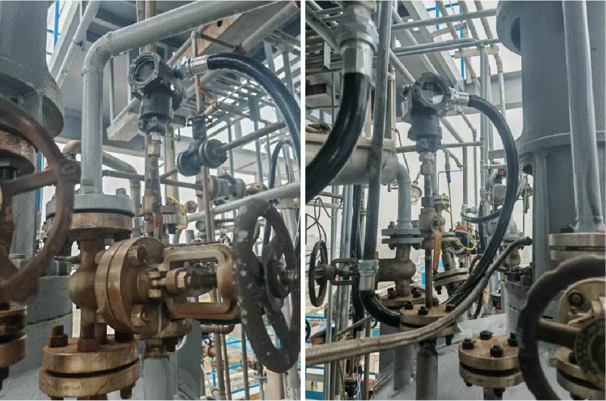 雙法蘭液位變送器